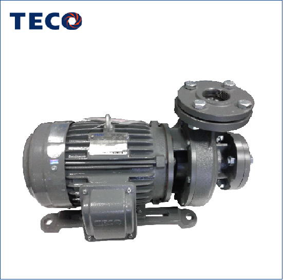 Bơm Li Tâm Đầu Liền Teco GPS Coaxial